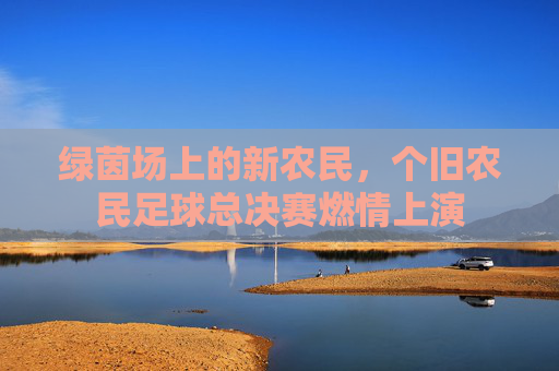 绿茵场上的新农民,个旧农民足球总决赛燃情上演