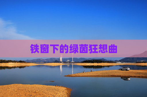 铁窗下的绿茵狂想曲