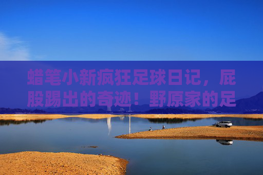 蜡笔小新疯狂足球日记，屁股踢出的奇迹！野原家的足球风暴