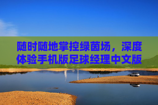 随时随地掌控绿茵场,深度体验手机版足球经理中文版的魅力