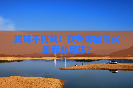 踢球不将就!钦州哪里能买到专业足球?