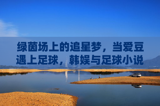 绿茵场上的追星梦，当爱豆遇上足球，韩娱与足球小说的独特魅力