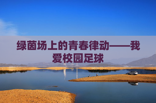 绿茵场上的青春律动——我爱校园足球