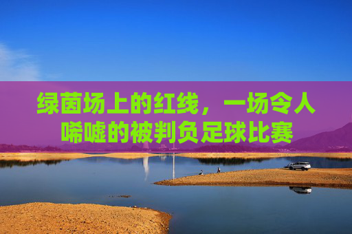 绿茵场上的红线,一场令人唏嘘的被判负足球比赛