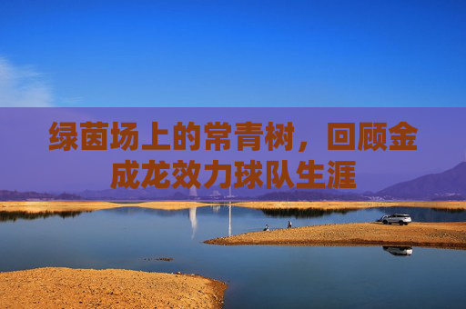 绿茵场上的常青树,回顾金成龙效力球队生涯