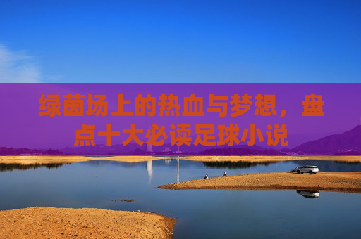 绿茵场上的热血与梦想，盘点十大必读足球小说