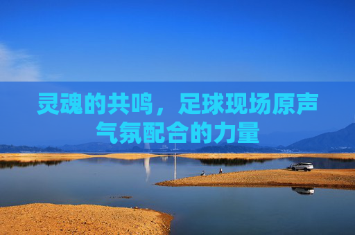 灵魂的共鸣,足球现场原声气氛配合的力量