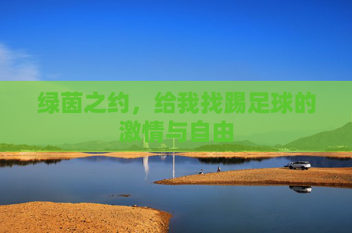 绿茵之约,给我找踢足球的激情与自由