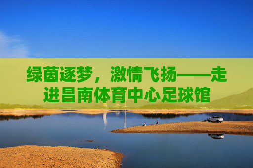 绿茵逐梦,激情飞扬——走进昌南体育中心足球馆