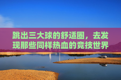 跳出三大球的舒适圈,去发现那些同样热血的竞技世界