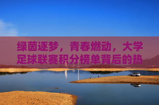 绿茵逐梦,青春燃动,大学足球联赛积分榜单背后的热血与荣耀