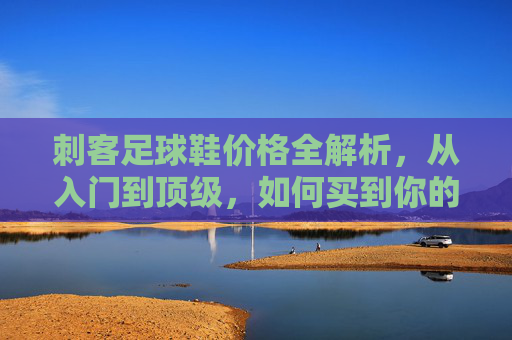 刺客足球鞋价格全解析,从入门到顶级,如何买到你的本命战靴?