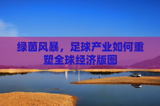 绿茵风暴,足球产业如何重塑全球经济版图