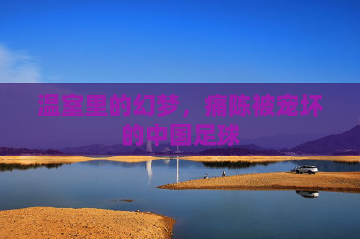 温室里的幻梦，痛陈被宠坏的中国足球