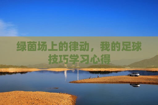 绿茵场上的律动,我的足球技巧学习心得