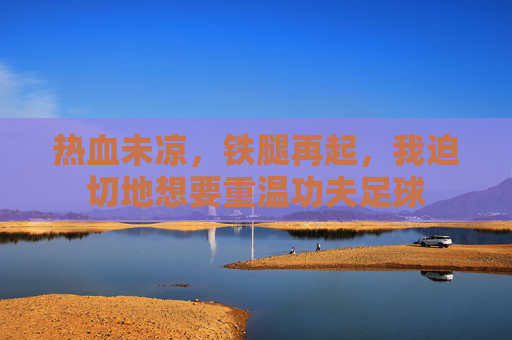 热血未凉,铁腿再起,我迫切地想要重温功夫足球