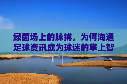 绿茵场上的脉搏,为何海通足球资讯成为球迷的掌上智囊