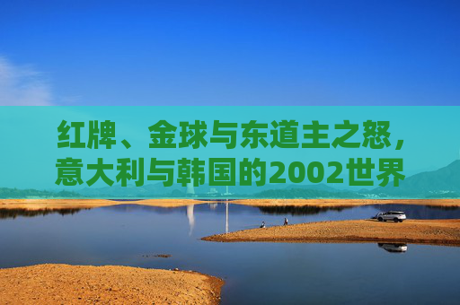 红牌、金球与东道主之怒，意大利与韩国的2002世界杯往事