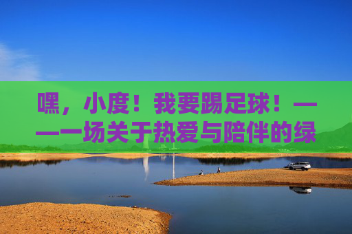 嘿，小度！我要踢足球！——一场关于热爱与陪伴的绿茵场之约