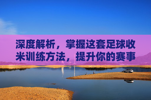 深度解析,掌握这套足球收米训练方法,提升你的赛事洞察力与胜率