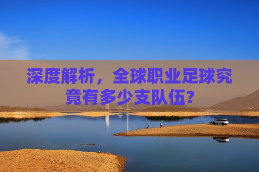 深度解析,全球职业足球究竟有多少支队伍?