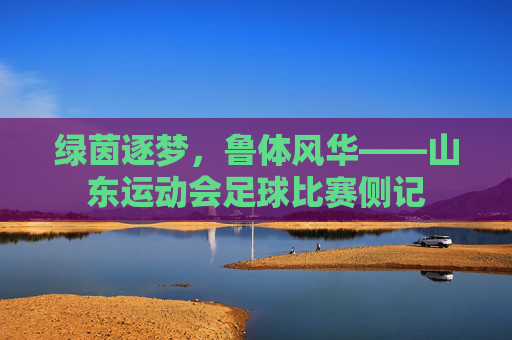 绿茵逐梦,鲁体风华——山东运动会足球比赛侧记