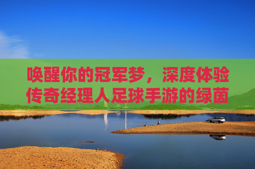唤醒你的冠军梦,深度体验传奇经理人足球手游的绿茵指挥官之路