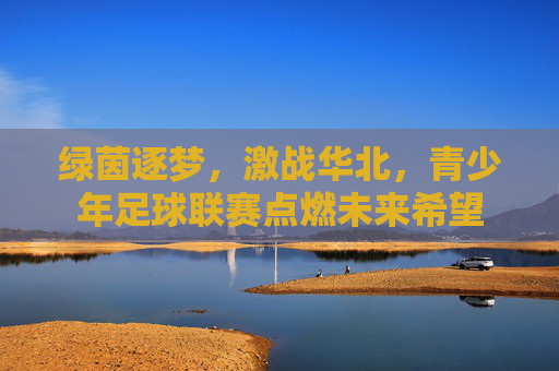 绿茵逐梦,激战华北,青少年足球联赛点燃未来希望