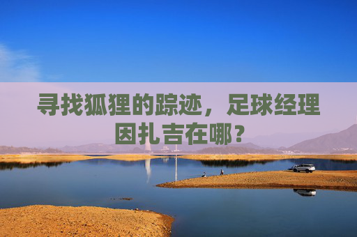 寻找狐狸的踪迹,足球经理因扎吉在哪?