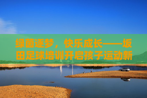 绿茵逐梦，快乐成长——坂田足球培训开启孩子运动新篇章
