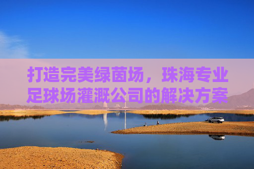 打造完美绿茵场，珠海专业足球场灌溉公司的解决方案与核心优势