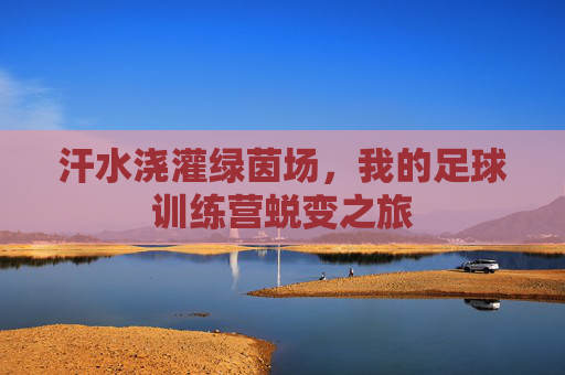 汗水浇灌绿茵场,我的足球训练营蜕变之旅