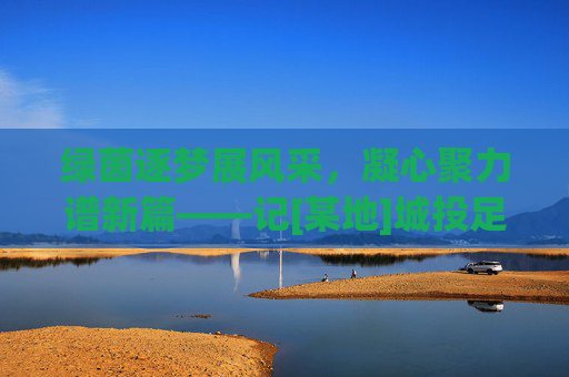 绿茵逐梦展风采，凝心聚力谱新篇——记[某地]城投足球邀请赛