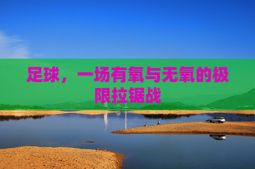 足球,一场有氧与无氧的极限拉锯战