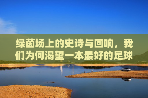 绿茵场上的史诗与回响,我们为何渴望一本最好的足球小说?