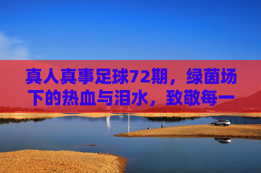 真人真事足球72期,绿茵场下的热血与泪水,致敬每一个追梦人