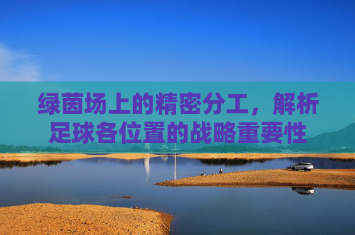 绿茵场上的精密分工，解析足球各位置的战略重要性