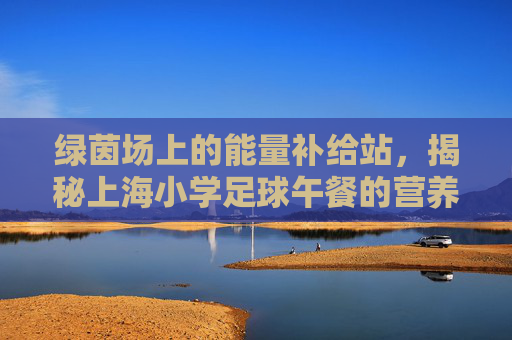 绿茵场上的能量补给站,揭秘上海小学足球午餐的营养密码