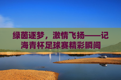 绿茵逐梦,激情飞扬——记海青杯足球赛精彩瞬间
