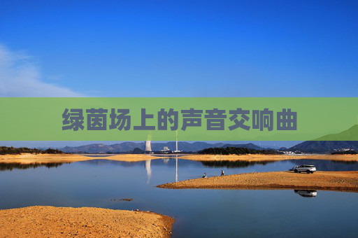 绿茵场上的声音交响曲