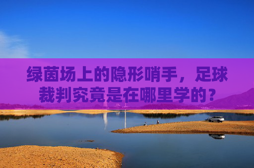 绿茵场上的隐形哨手，足球裁判究竟是在哪里学的？