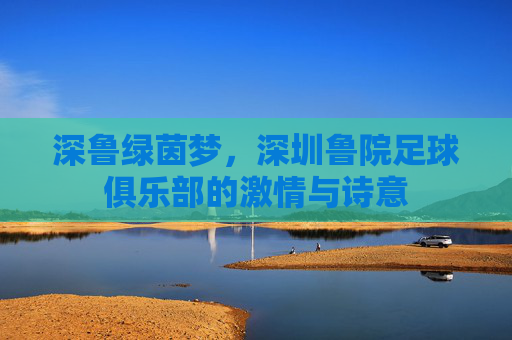 深鲁绿茵梦，深圳鲁院足球俱乐部的激情与诗意