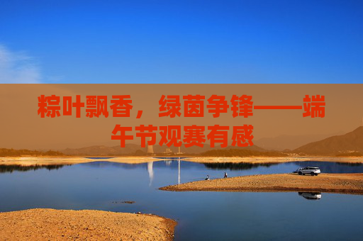 粽叶飘香,绿茵争锋——端午节观赛有感
