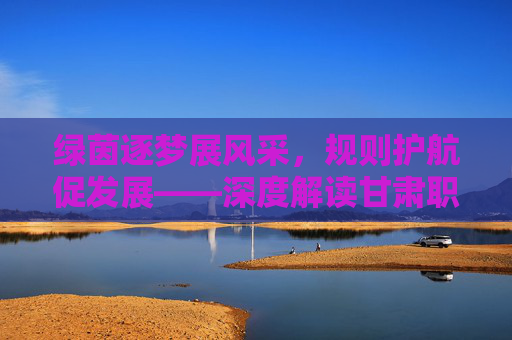 绿茵逐梦展风采，规则护航促发展——深度解读甘肃职工足球赛制
