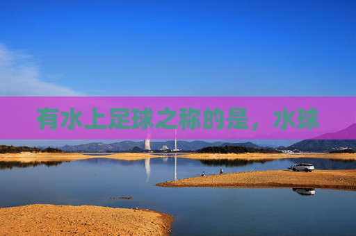 有水上足球之称的是，水球
