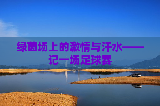 绿茵场上的激情与汗水——记一场足球赛