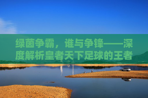 绿茵争霸，谁与争锋——深度解析皇者天下足球的王者之道
