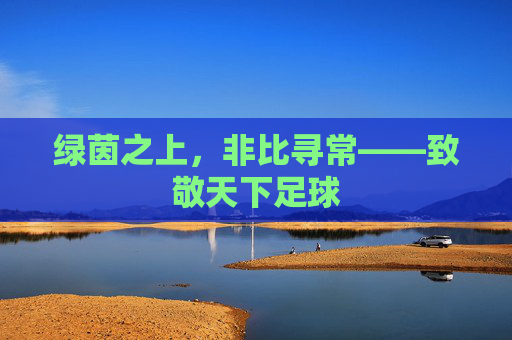 绿茵之上，非比寻常——致敬天下足球