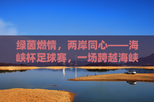 绿茵燃情，两岸同心——海峡杯足球赛，一场跨越海峡的足球盛宴