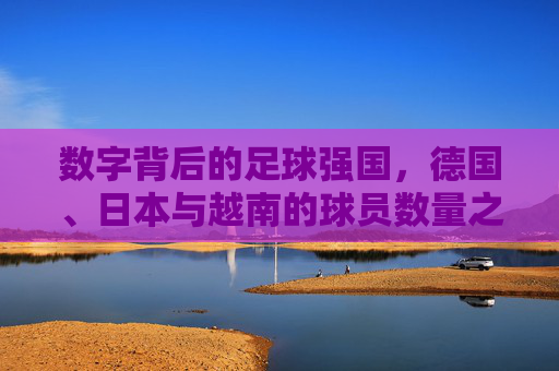 数字背后的足球强国，德国、日本与越南的球员数量之辩